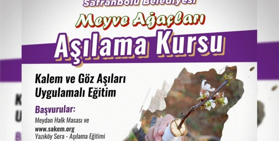 SAFRANBOLU'DA MEYVE AĞAÇLARI AŞILAMA KURSU BAŞLIYOR