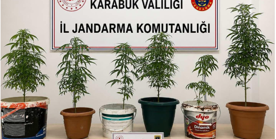 Karabük'te Uyuşturucu ve Kaçak Tütün Operasyonu